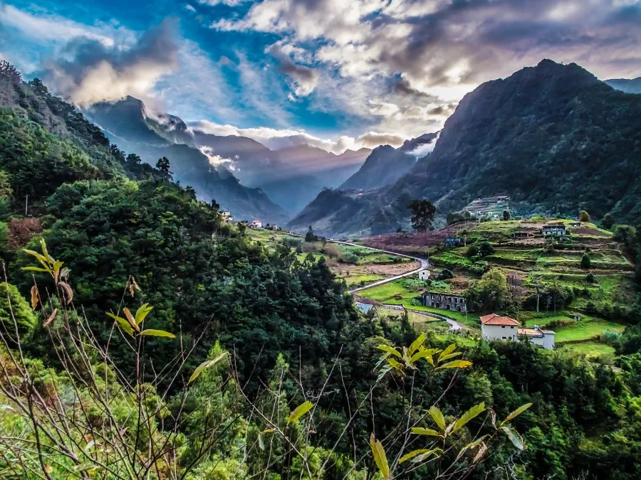Blick auf ein grünes Tal in Madeira mit terrassierten Feldern und kleinen Häusern zwischen hohen, nebelverhangenen Bergen