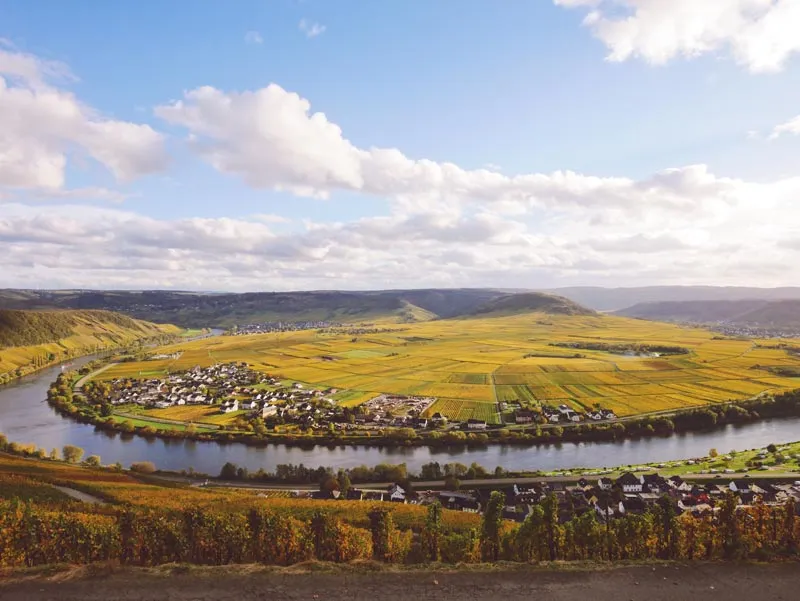 Blick über die Weinberge im Moseltal