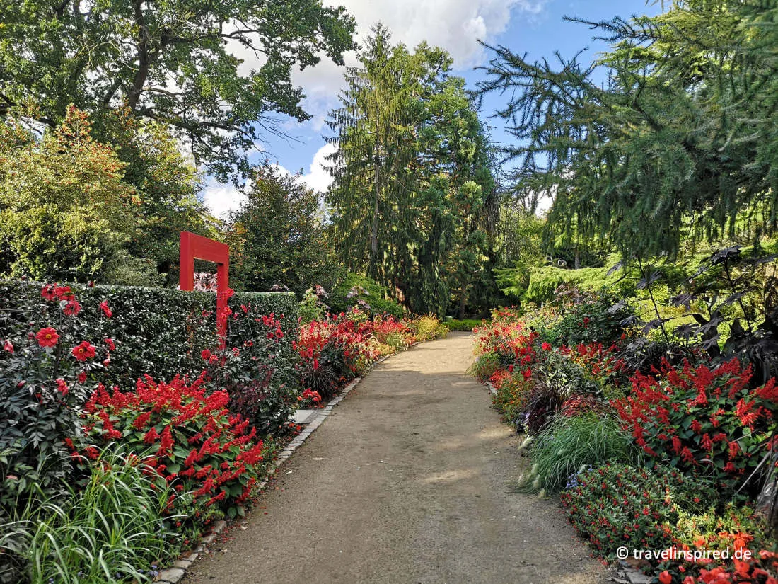 Blühende Blumen und herbstliches Laub im Arboretum Ellerhoop, ein ganzjähriges Ziel für Unternehmungen in Schleswig-Holstein.