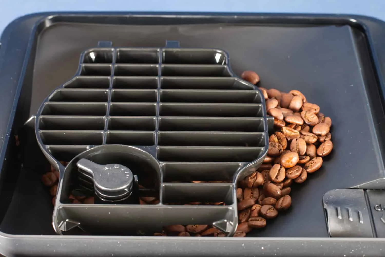 Bohnenbehälter und Mahlgradeinstellung der Bosch Kaffeemaschine