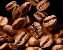 Bosch Kaffeevollautomat mit TFT Touch Display