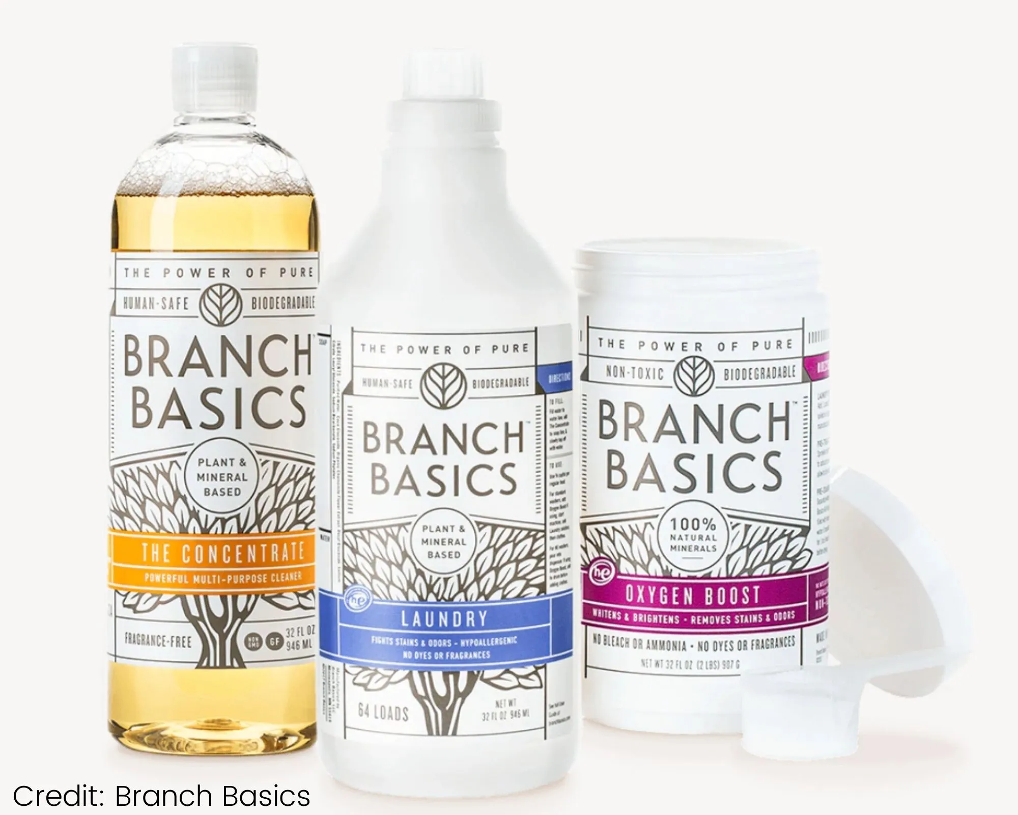 Branch Basics Reinigungsmittel