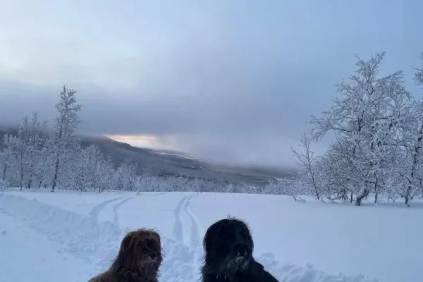 Briard Welpe Happy Feet entspannt auf einer Bootstour mit ihrer Familie