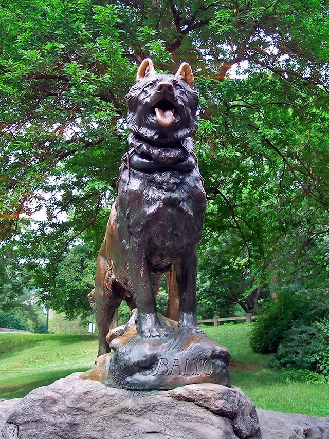 Bronzestatue des heldenhaften Siberian Husky Balto im Central Park, New York
