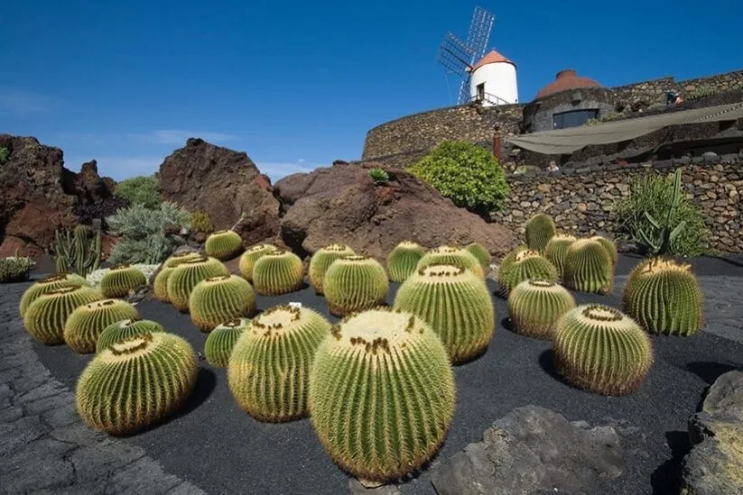 César Manrique, Lanzarote