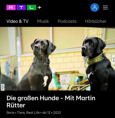 Charlotte und Ringo, die beeindruckenden großen Hunde von Charlotte's Choice, posieren majestätisch vor Pferden, ein Moment aus der Sendung 'Die großen Hunde' mit Martin Rütter.