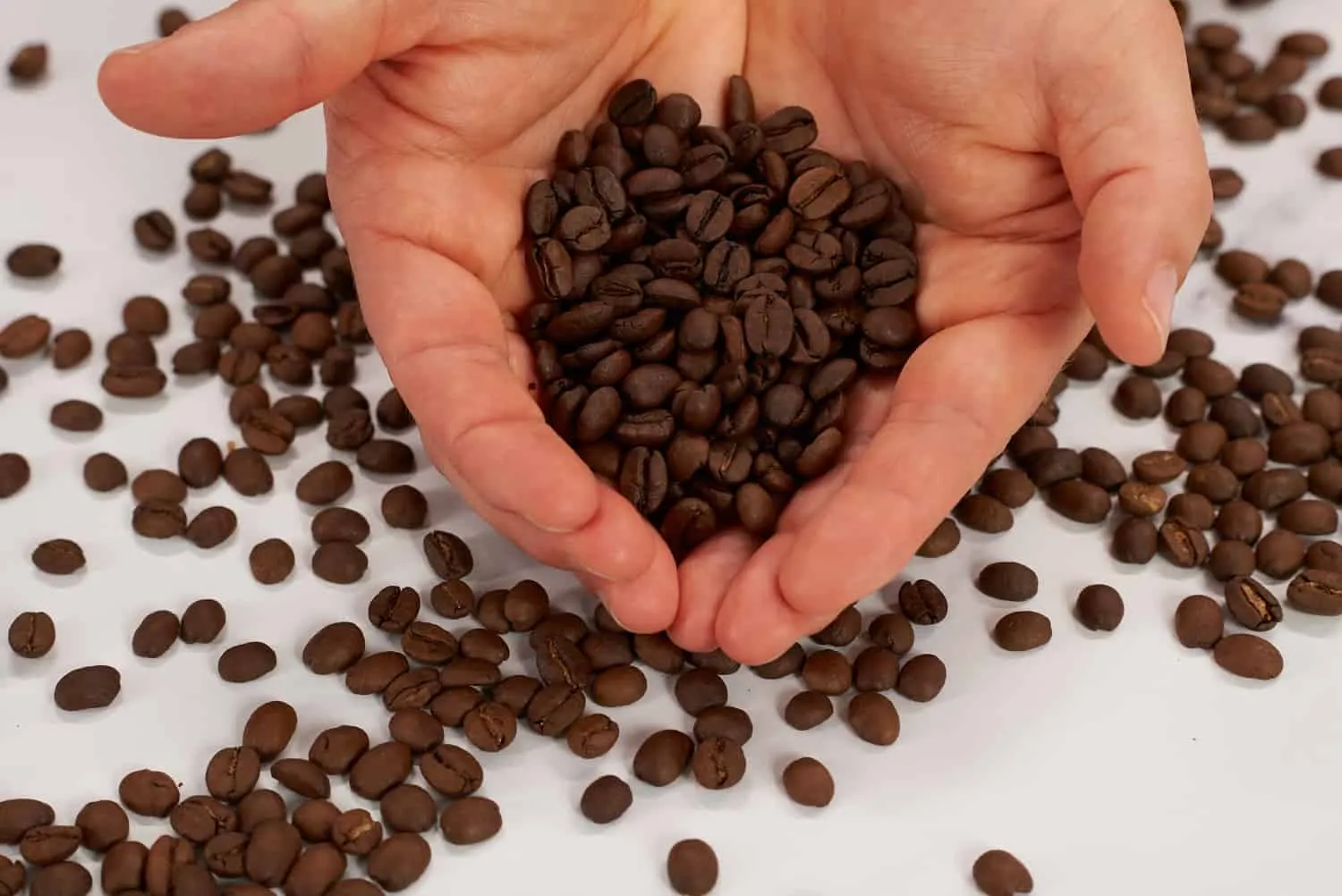 Coffeeness Bohnen in beiden Haenden 