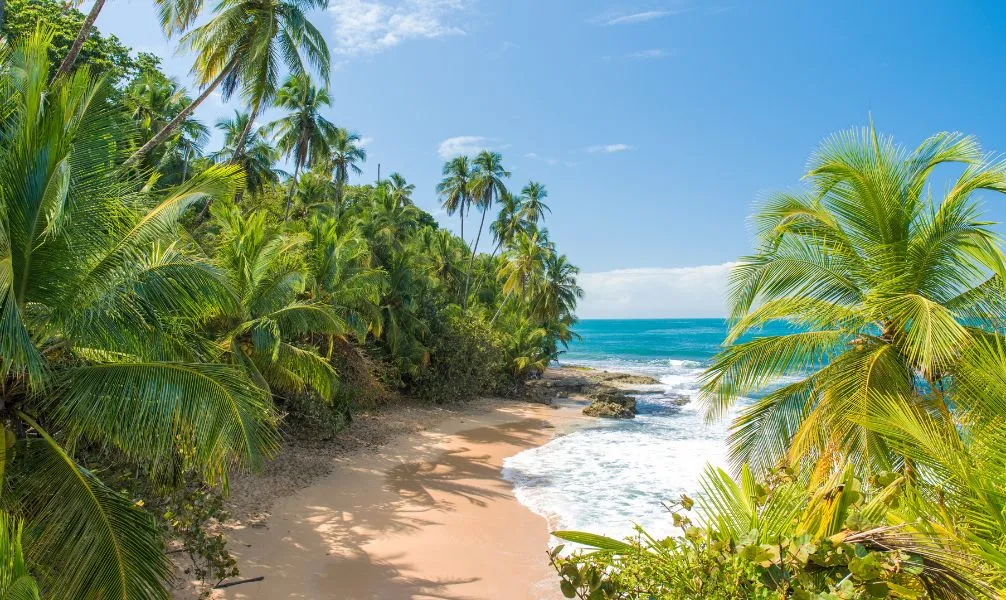 Costa Rica: Silvester im Dschungel