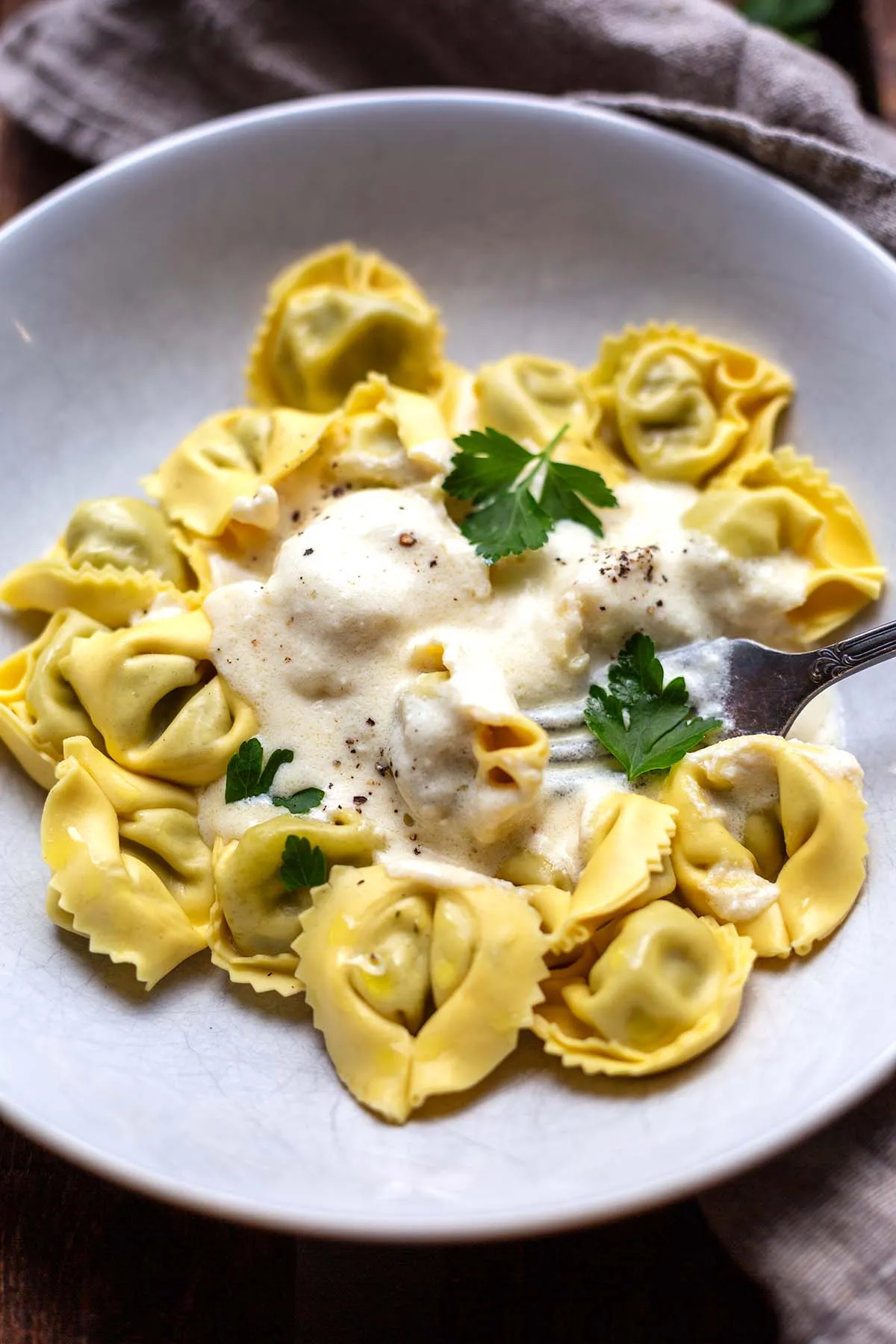 Cremige Käse-Sahne-Soße mit frischen Tortellini und Petersilie auf einem eleganten weißen Teller, ideal für ein schnelles Abendessen.