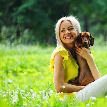 Dackel, der im Gras sitzt und neugierig schaut