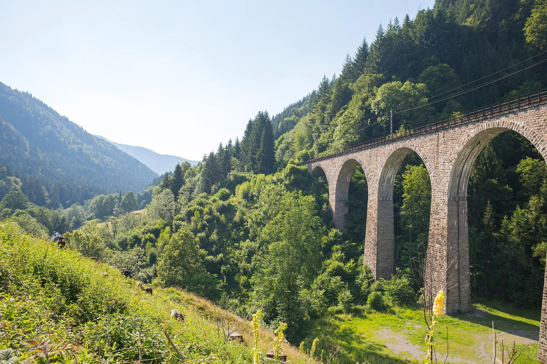 Das Ravennaviadukt der Höllentalbahn im Schwarzwald, eingebettet in dichte Vegetation
