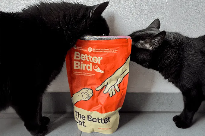 Das Trockenfutter The Better Cat Better Bird in einer Schale, von einer Katze getestet