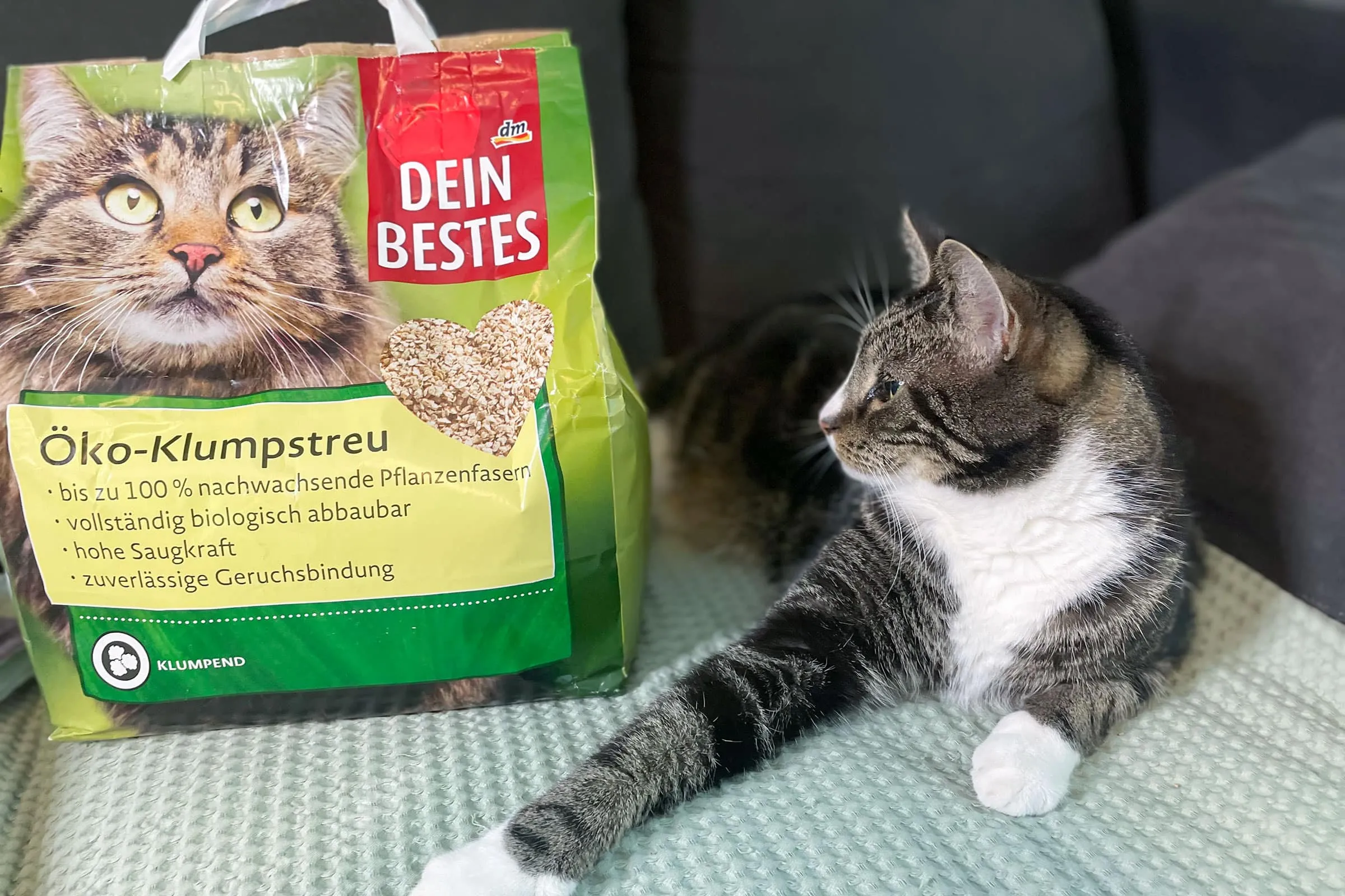 Dein Bestes Öko-Klumpstreu im Praxistest
