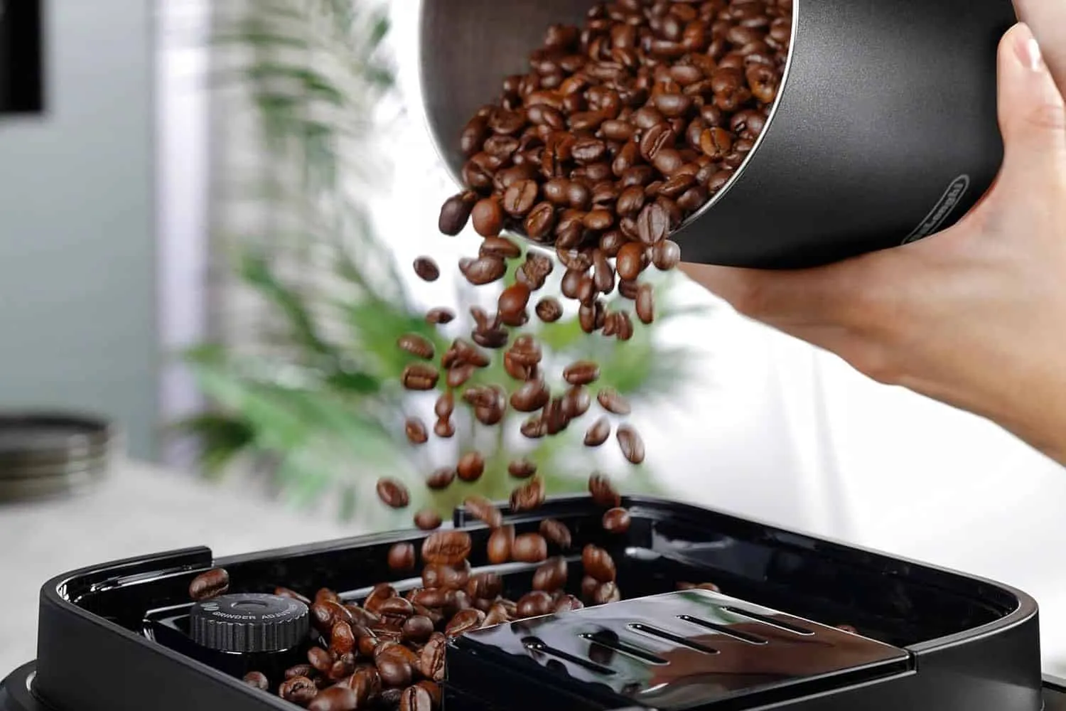 DeLonghi Magnifica Evo Next Kaffeebohnen