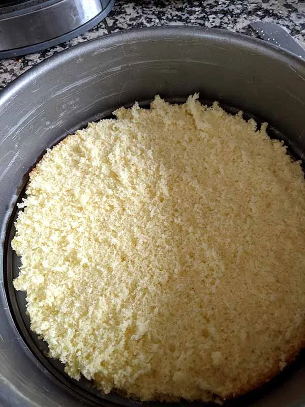 Der halbierte Tortenboden mit Tortenring bereit für die Käse-Sahne-Füllung