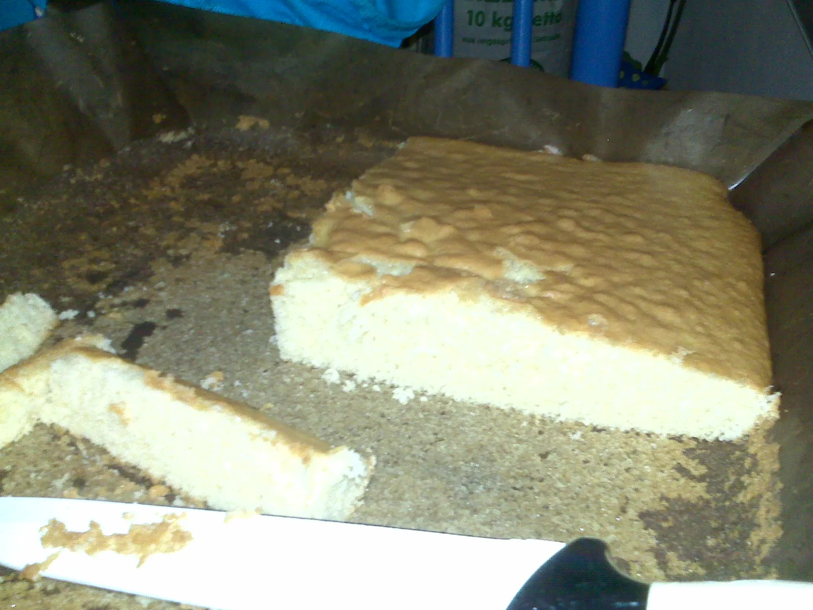 Der Kuchenrohling in Form eines Polizeiautos