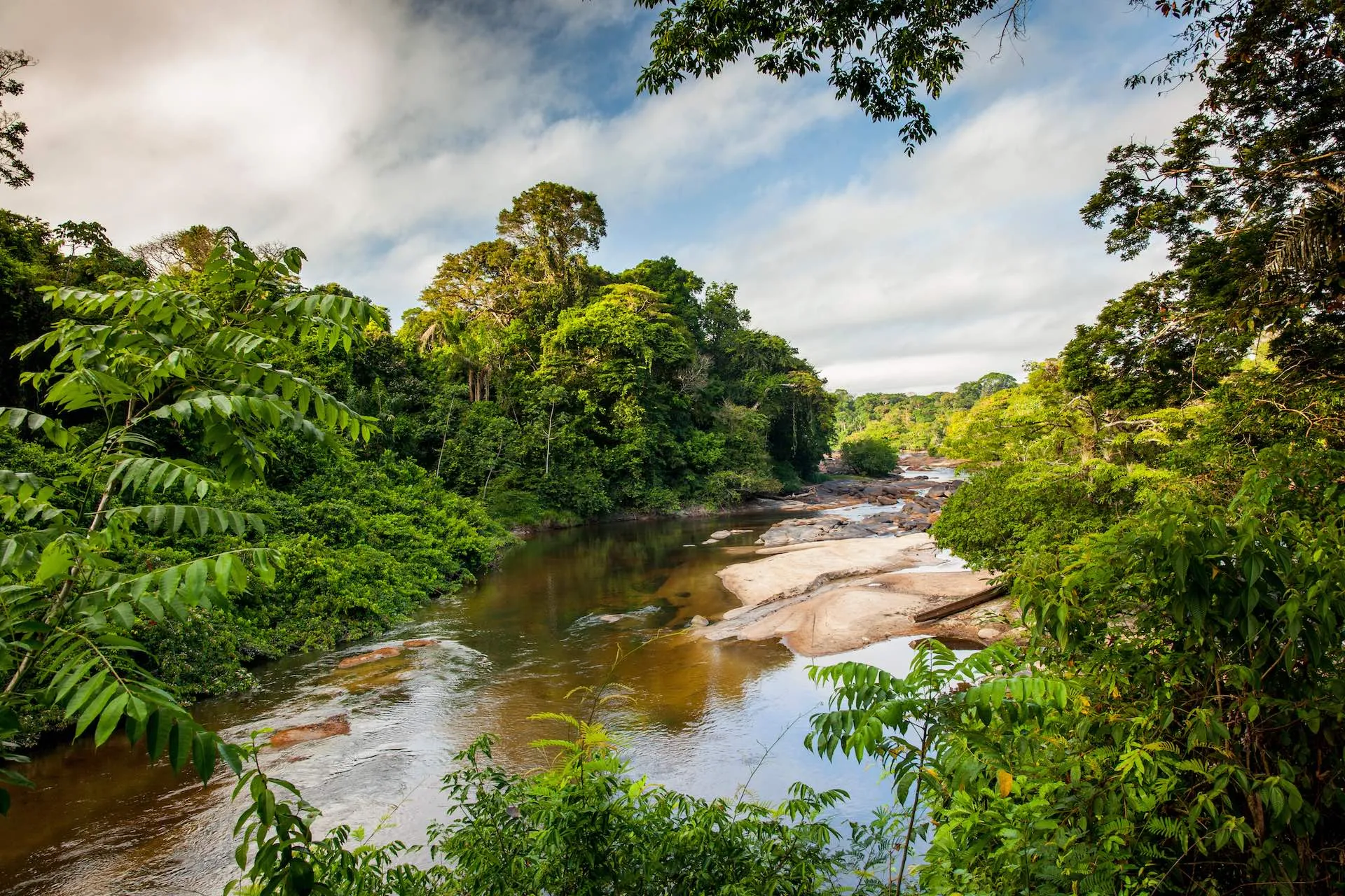 Der Suriname River in Suriname in Südamerika
