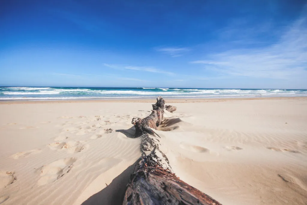 Der weitläufige und unberührte Strand von Nature’s Valley, ein friedlicher Ferienort nahe dem Tsitsikamma Nationalpark