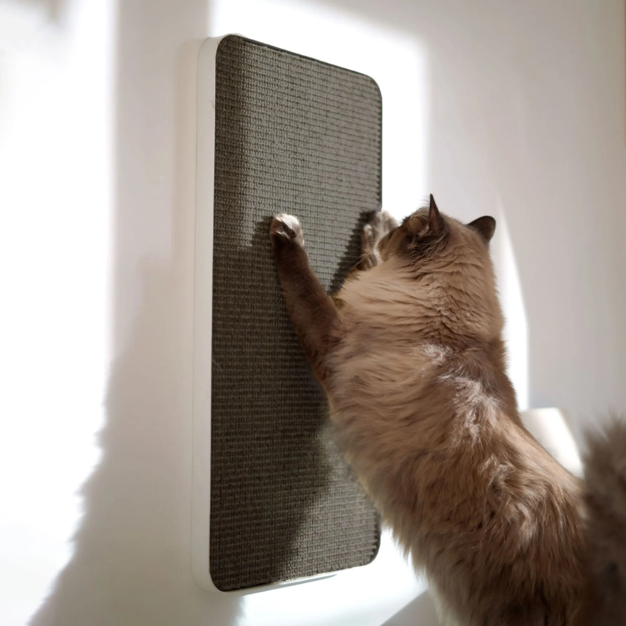 Design Wandkratzbrett für Katzen in Anthrazit, ideal zum Krallen wetzen
