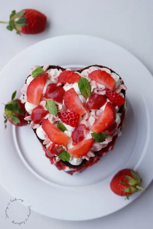 Detailaufnahme einer saftigen Schokoladenschicht der Torte