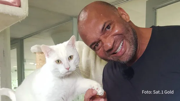 Detlef Soost mit Kater Jascha in der Sendung "Haustier sucht Herz" auf Sat.1 Gold