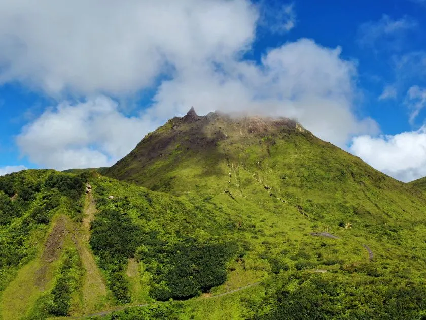 Dichte tropische Vegetation und Flusslandschaft im Nationalpark von Guadeloupe