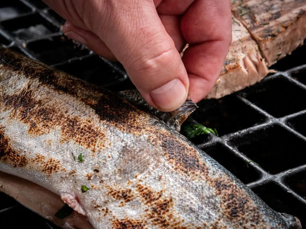 Die Flossenprobe wird an einem ganzen Fisch auf dem Grill durchgeführt, um den idealen Gargrad zu überprüfen.