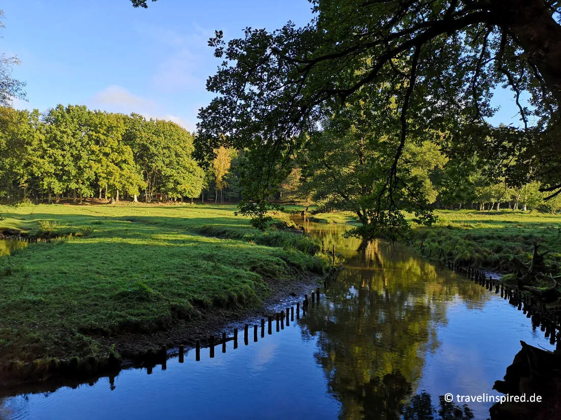 Die idyllische Landschaft des Wildparks Eekholt mit der Osterau, ein perfekter Ort für naturnahe Unternehmungen mit der Familie.