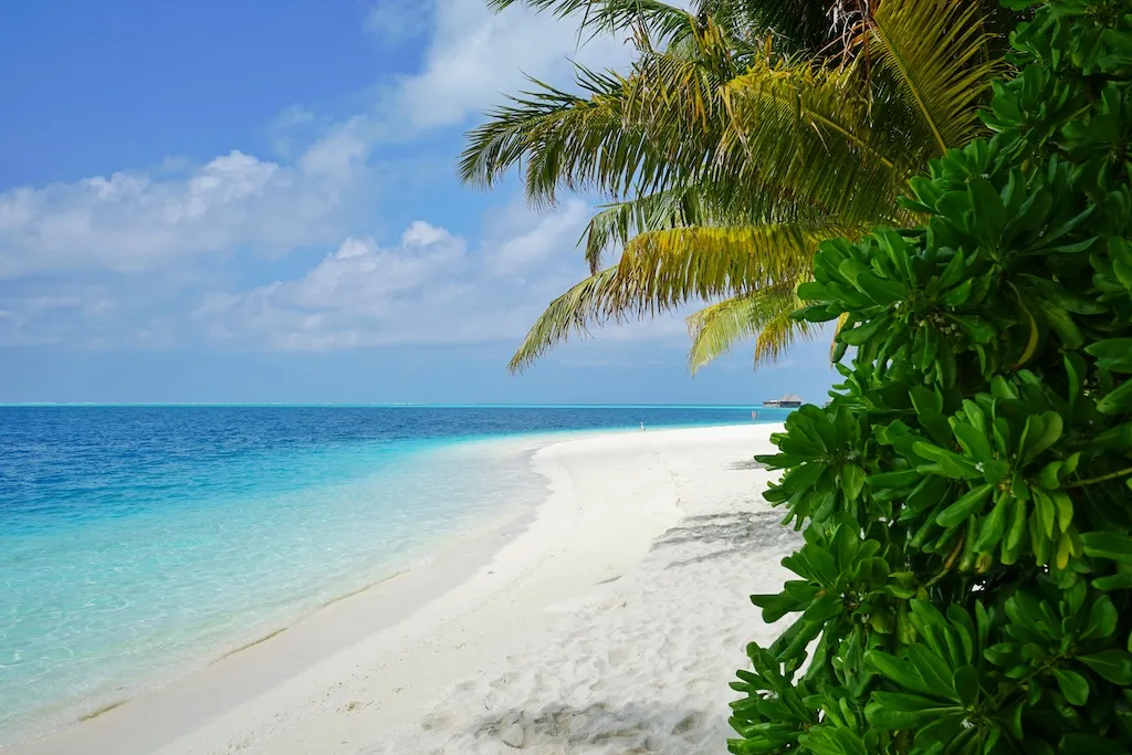 Die Malediven sind bekannt für nahezu unberührte Strände und kristallblaues Wasser