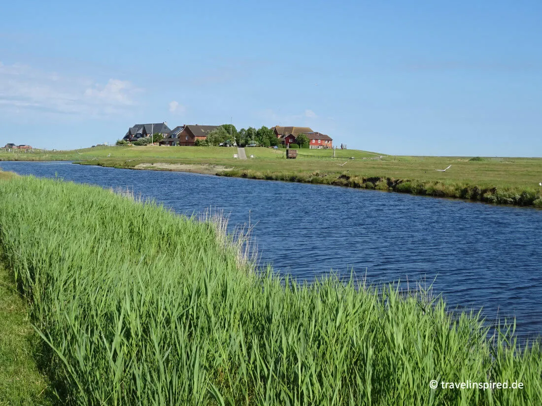 Die malerische Hallig Hooge mit ihren Warften, ein einzigartiges Reiseziel für Insel-Unternehmungen in Norddeutschland.