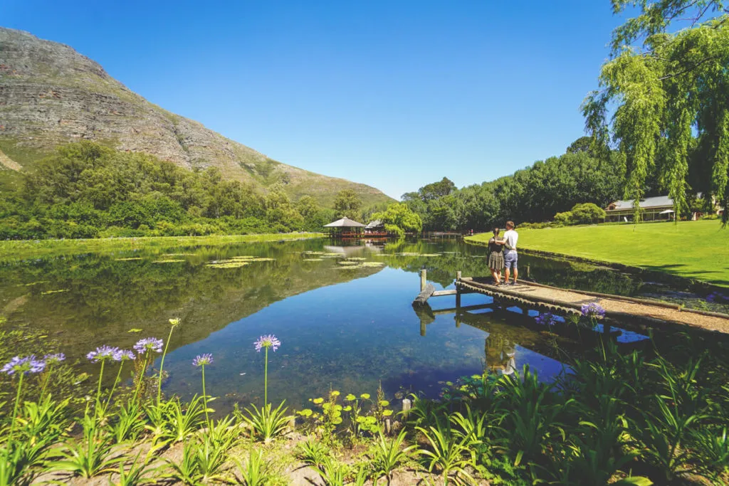 Die malerischen Landschaften der Winelands mit Stark-Condé Wines am See, ein Ruhepol nahe der Garden Route