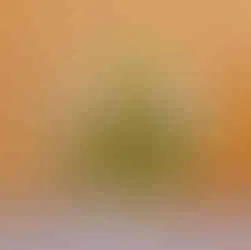 Die moderne Astronautendusche im Green Tiny House. Eine schicke Anzeige visualisiert den Prozess der Wasseraufbereitung in Echtzeit.