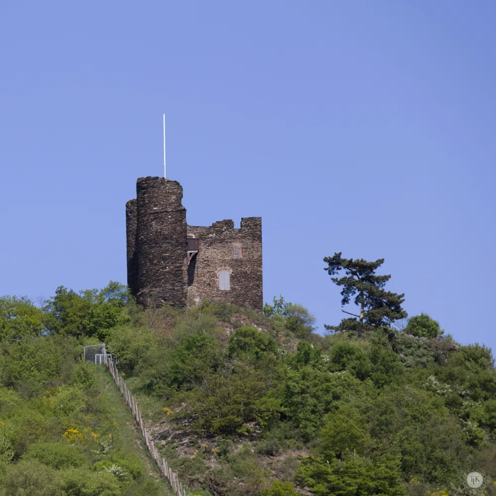 Die Ruine Burg Nollig thront oberhalb von Lorch am Rhein, umgeben von Weinbergen