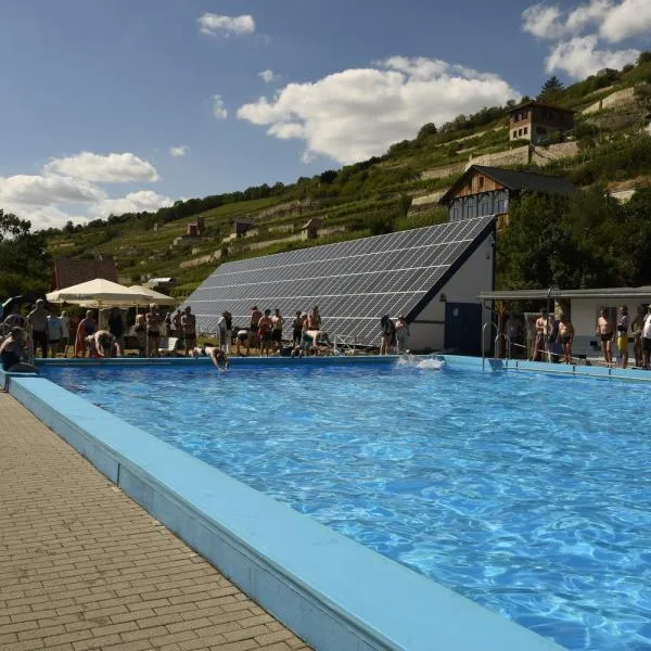 Die Schwimmer haben gemeinsam einen unvergesslichen Tag erlebt