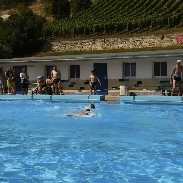 Die Schwimmer ziehen ihre Bahnen im Freibad