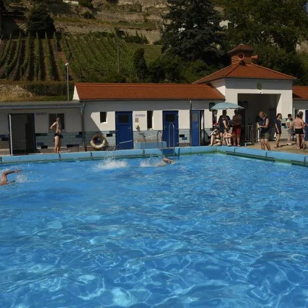 Die Teilnehmer des Schwimmwettbewerbs im Freibad Freyburg