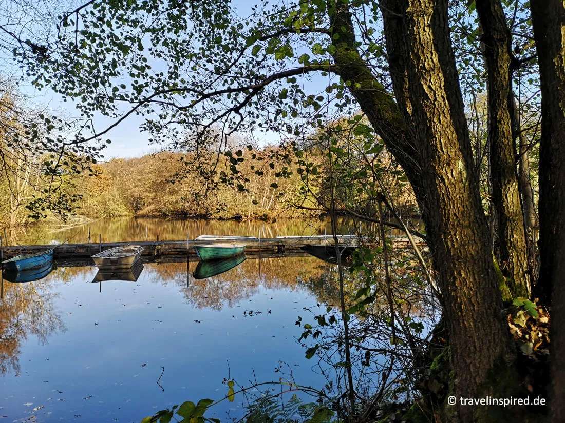 Die unberührte Natur des Krempermoors bei Itzehoe, ein Geheimtipp für Vogelbeobachtungen und ruhige Unternehmungen in Schleswig-Holstein.
