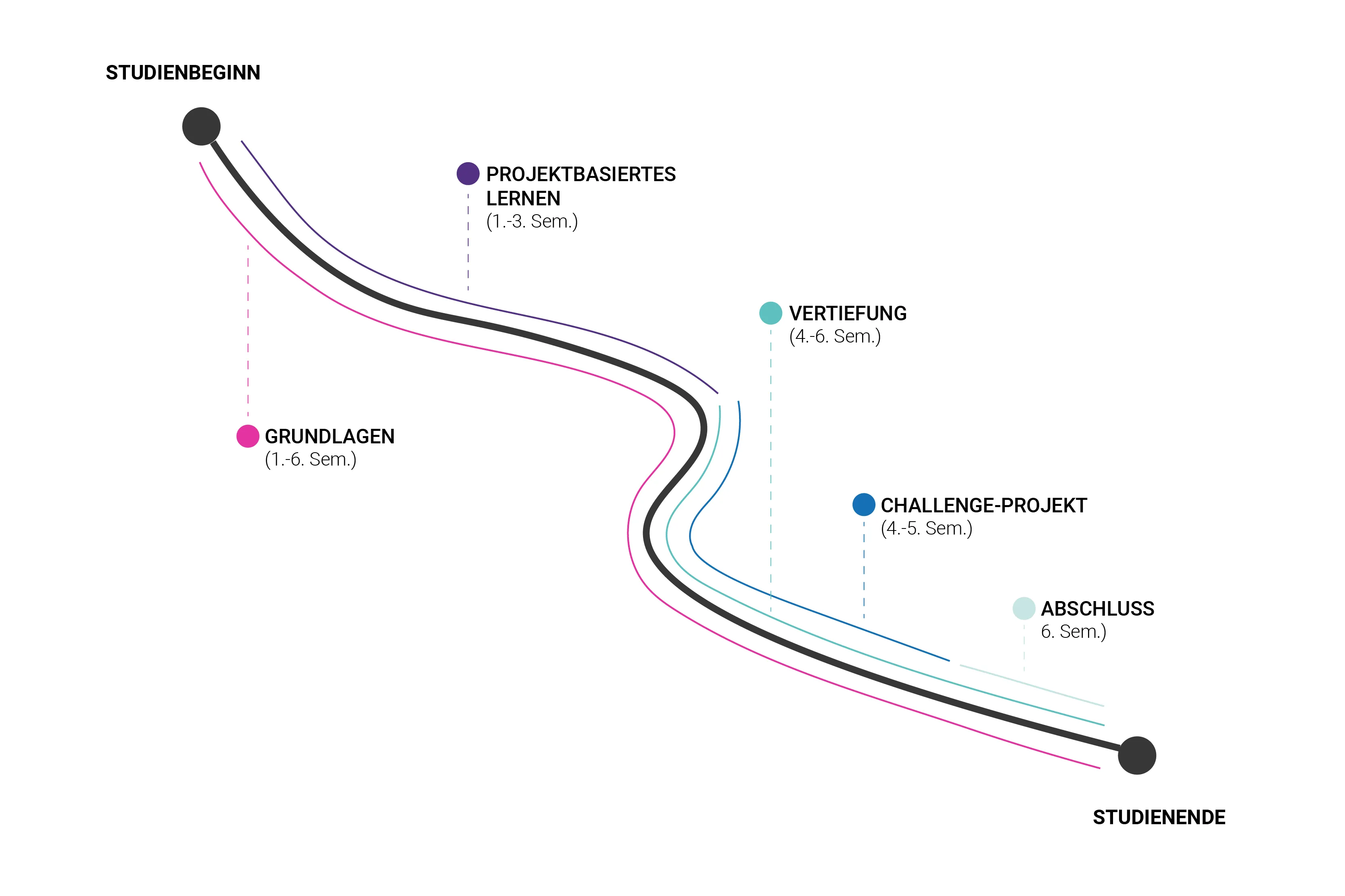 die unten beschriebenen Studienetappen dargestellt auf einem geschlängelten Weg