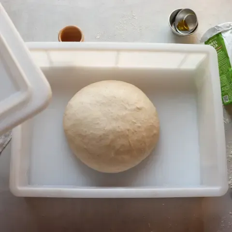 Dinkel-Pizzateig in der Stockgare, ruhend und aufgehend für eine luftige Konsistenz.