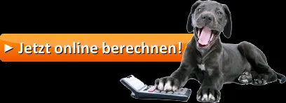 Direkt zum Uelzener Online Rechner