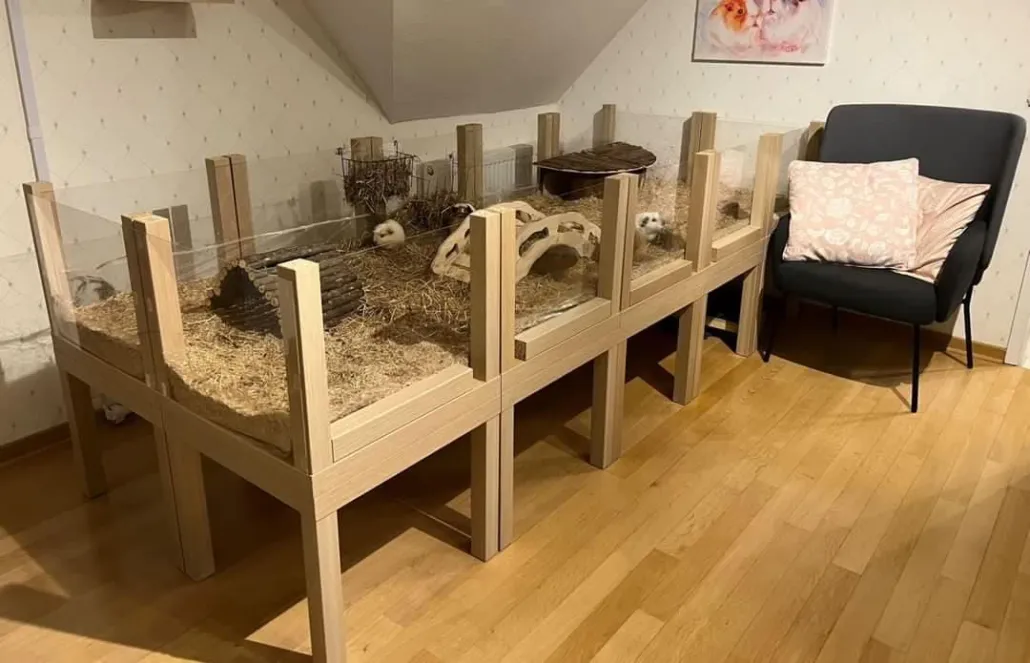 DIY Meerschweinchengehege aus IKEA Lack Tischen und Plexiglas