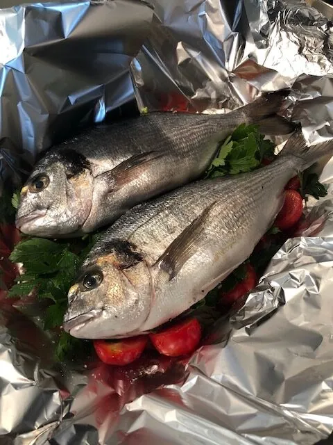 Dorade aus dem Ofen-rotated.jpg