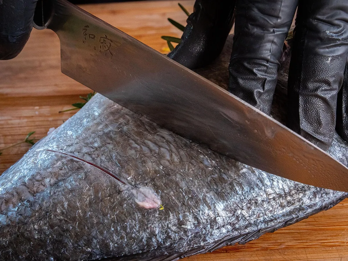 Dorade grillen auf einer Grillplatte: Ein ganzheitliches Geschmackserlebnis