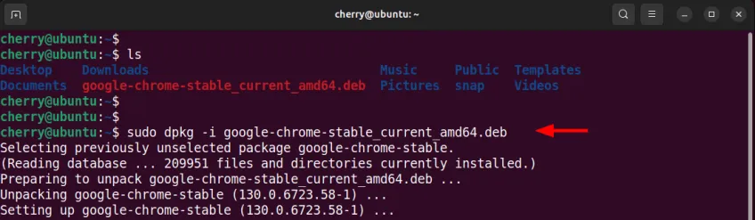 dpkg Installation Google Chrome