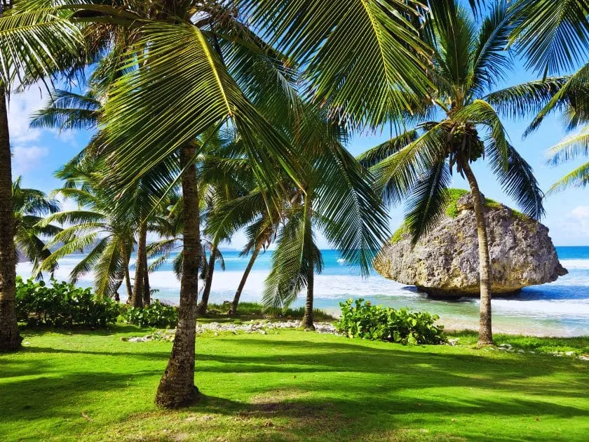 Dramatische Felsformationen und raue Wellen am Bathsheba Beach, Ostküste Barbados