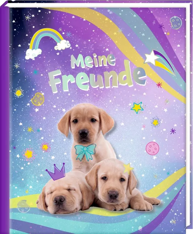 Drei Labradorwelpen auf violettem Sternenhintergrund mit dem Coverschriftzug „Meine Freunde“ und bunten Regenbogenakzenten.