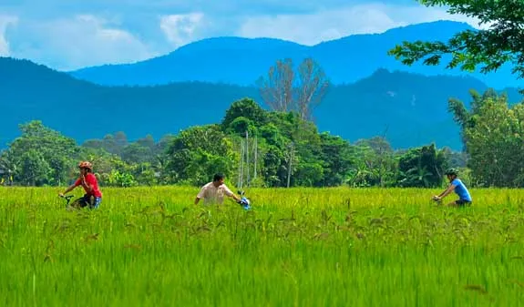 Drei Personen auf Fahrrädern fahren fröhlich durch ein grünes Feld mit Bergen im Hintergrund