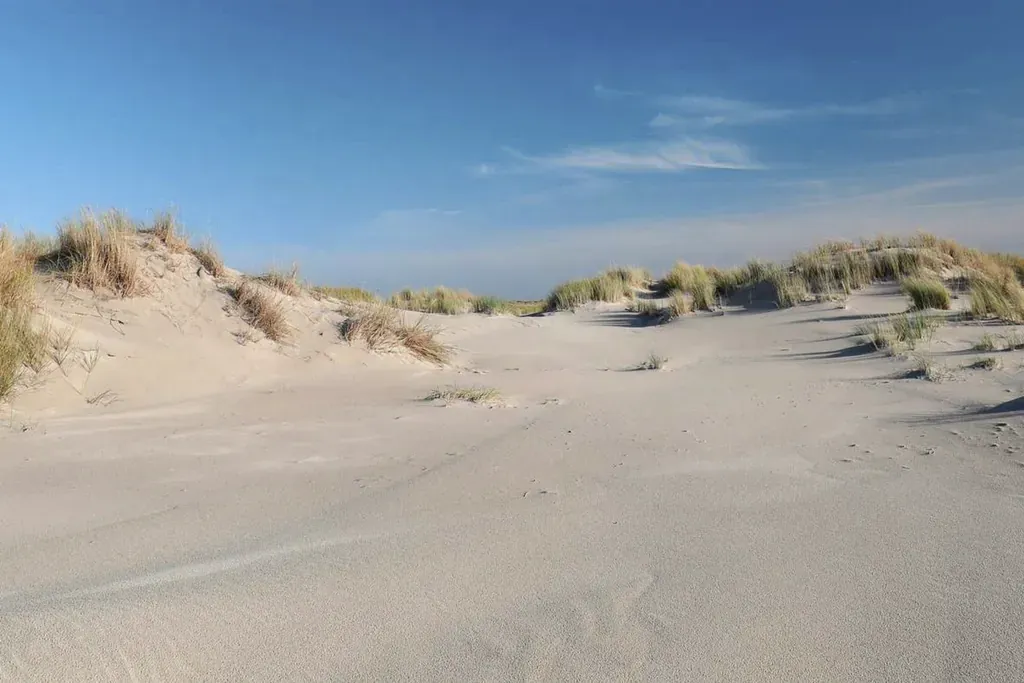 Dünen von Spiekeroog mit blauem Himmel