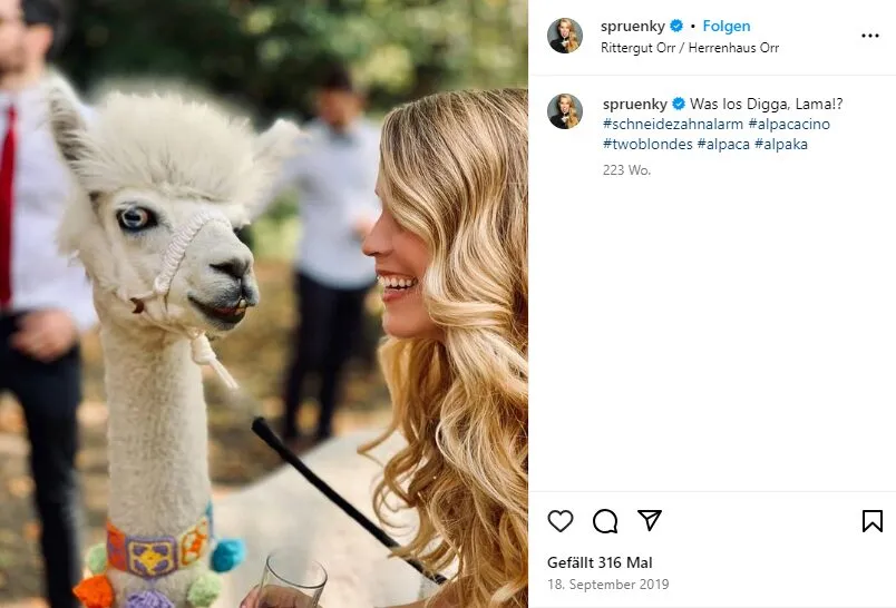 Ein Alpaka, das in unpassender Umgebung oder Haltung offensichtlich leidet und in sozialen Medien verbreitet wird.