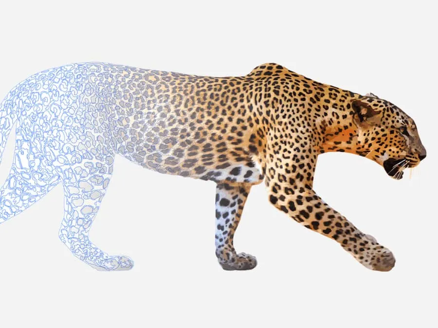 Ein Bild in eine Vektorillustration umwandeln